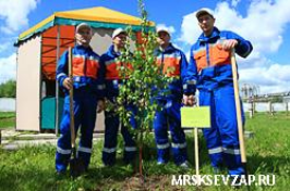 Команда победителей